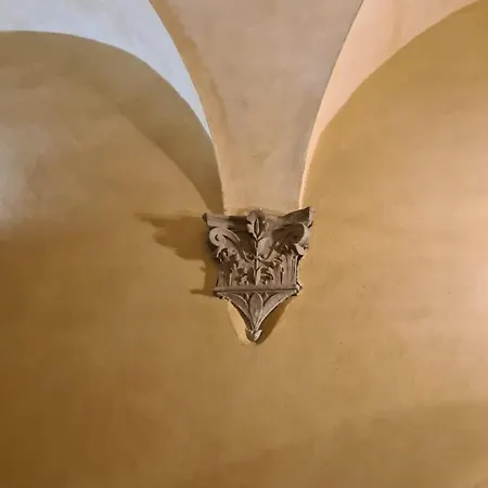 Forteguerriana